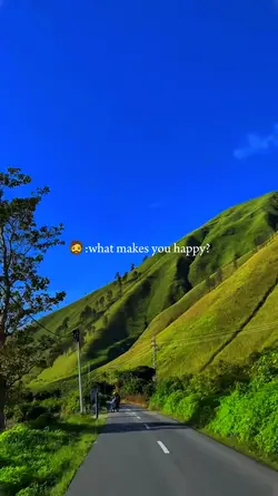 WHAT MAKE YOU HAPPY