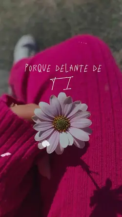 Frases bonitas ✨🥰💕