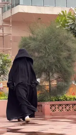 سلوموشن Fellow