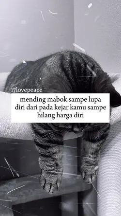 mending mabok sampe