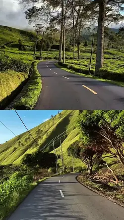 2 video 1 layout