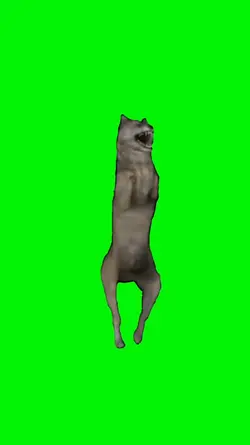 Wolf Dancing