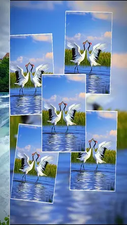 6 clip or photo 