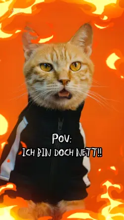FREUNDLICH, jaja..