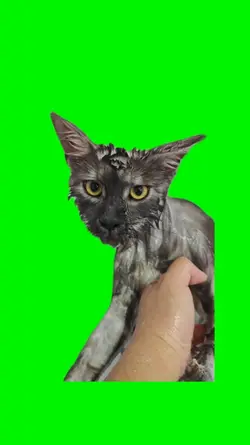 help me