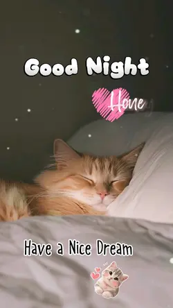 Good Night
