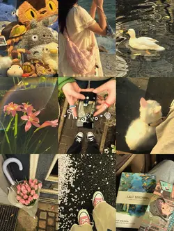 9 pic