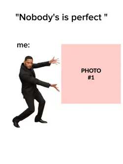 nobody's perfect