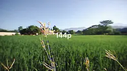 144p vs 4k