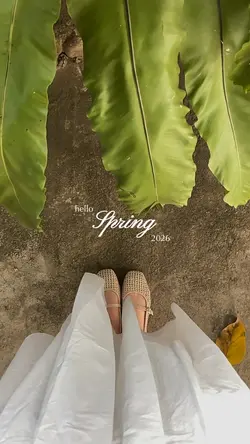 hello spring 2026