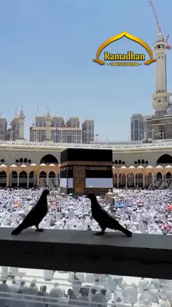 Vibes Ramadhan