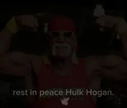 Rest in peace 