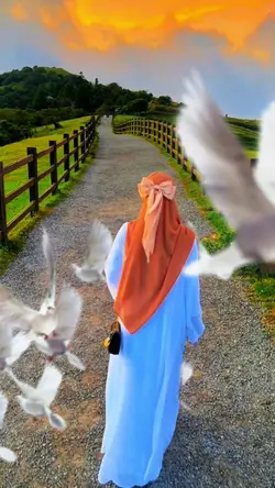 efek merpati terbang