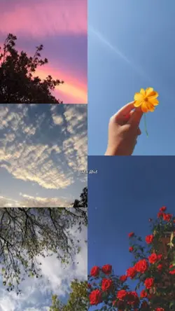 Collage template