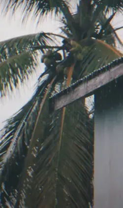 Heart og worship