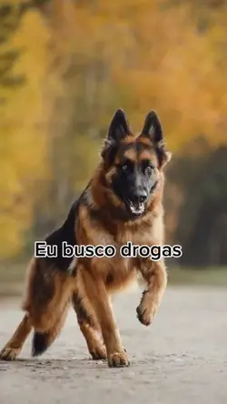 FOTO DO SEU PET MEME