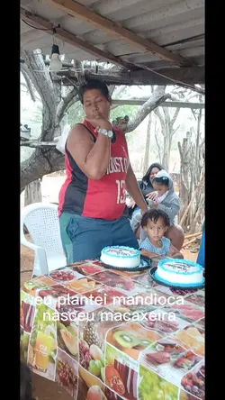 eu plantei mandioca 
