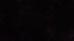 댕물이 홍보 영상