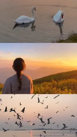 aesthetic | 3 layout