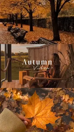 Autumn vibes