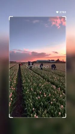Netherland