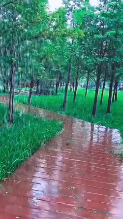 Rain