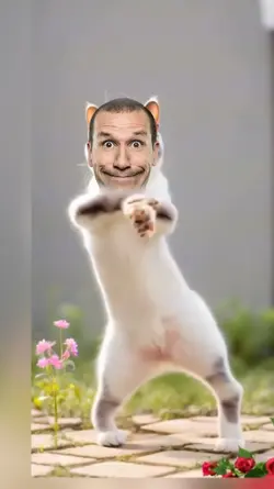 Funny Dancing Cat