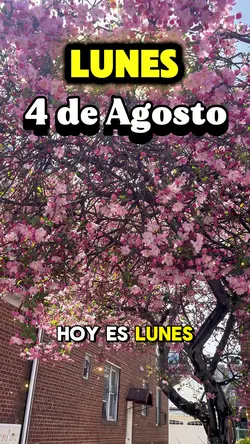 Lunes 4 de Agosto 