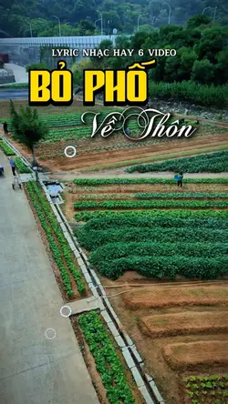 Bỏ phố về thôn !