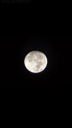 Bulan🌑