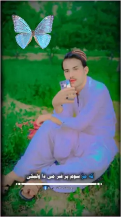 pashto video templat
