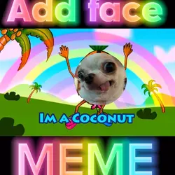 Coconut face meme 