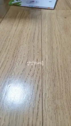 포포