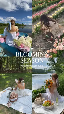 BLOOMING season