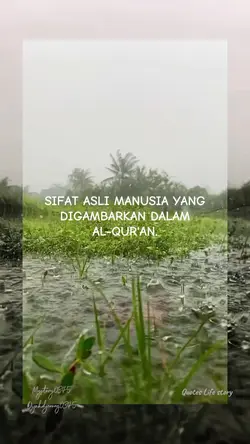mystory0345 