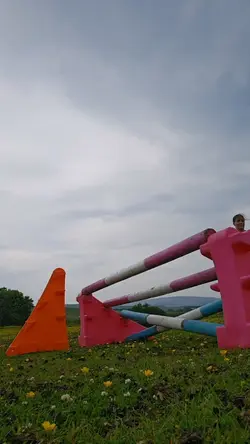 dexter flying
