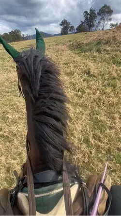 Mare walk 🤭