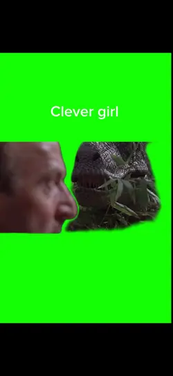 Clever girl 