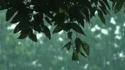 rain vibes