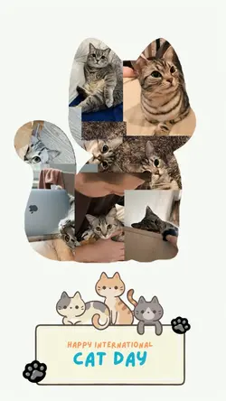National Cat Day
