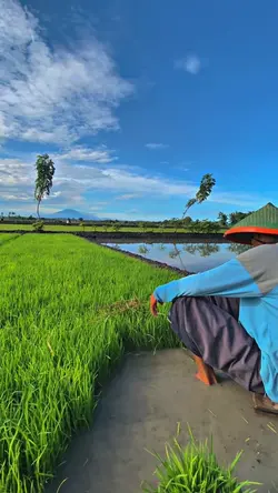 1VID FILTER HDR