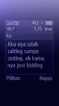 salting smpe sinting