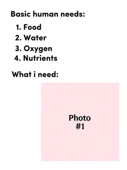 human basic needs