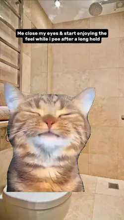 Funny meme template 