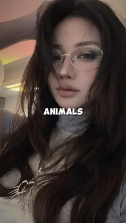 ANIMALS 