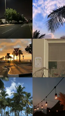 6 pics | august