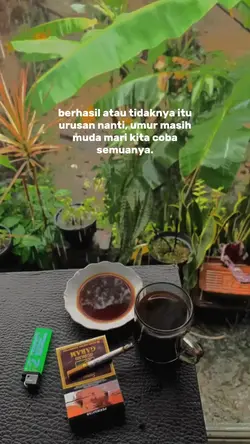 Story wa