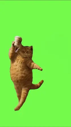 CAT MEME DANCE