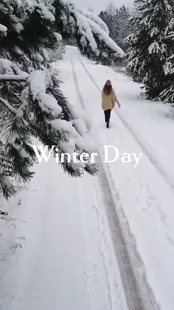 Winter Day