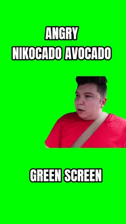 Nikocado Avocad